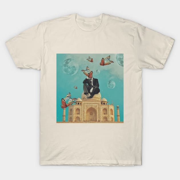 Taj Mahal T-Shirt by SilentSpace